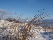 Snow